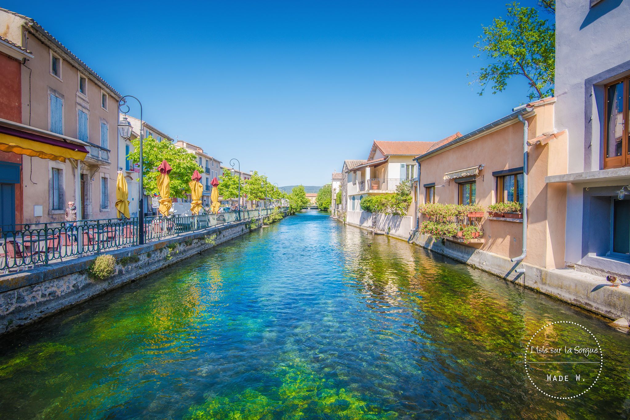 13568966_10154317687803799_5361828171184670056_o